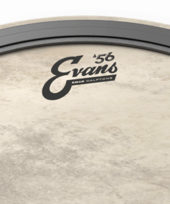 Evans EMAD Calftone Bass head 2