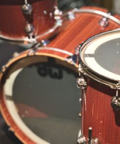 DW Collectors Maple Mahogany 4pc back 2